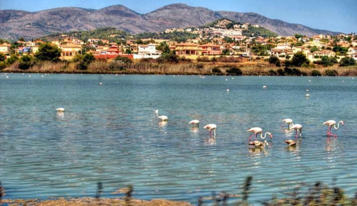 Apartamento Moderno Muy Centrico Y Cerca De La Playa Daire Calp Dış mekan fotoğraf